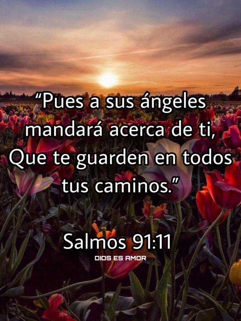 "Pues a sus ángeles mandará acerca de ti, Que te guarden en todos tus caminos." (Salmos 91:11)