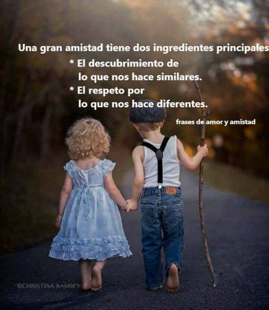 Una gran amistad tiene dos ingredientes principales: El descubrimento de lo que nos hace similares; el respeto por lo que hace diferentes.