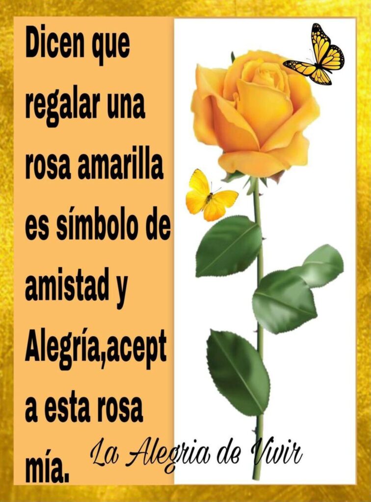 Dicen que regalar una rosa amarilla es símbolo de amistad y alegría, acepta esta rosa mía.