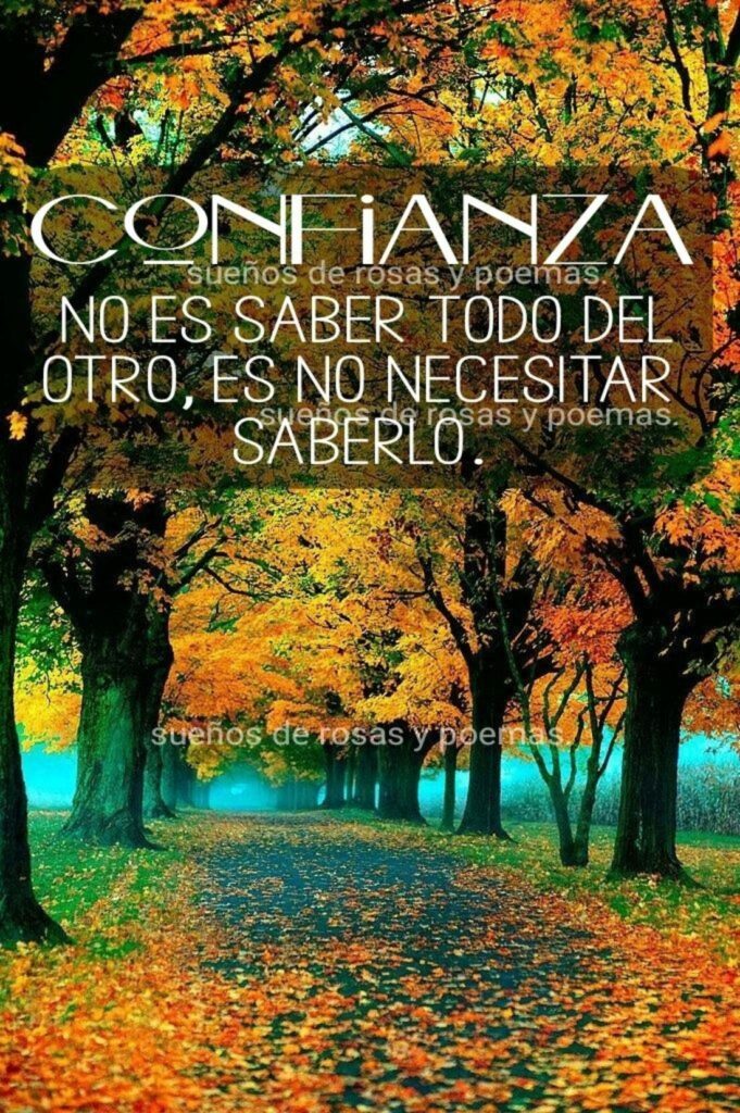 Confianza no es saber todo del otro, es no necesitar saberlo.