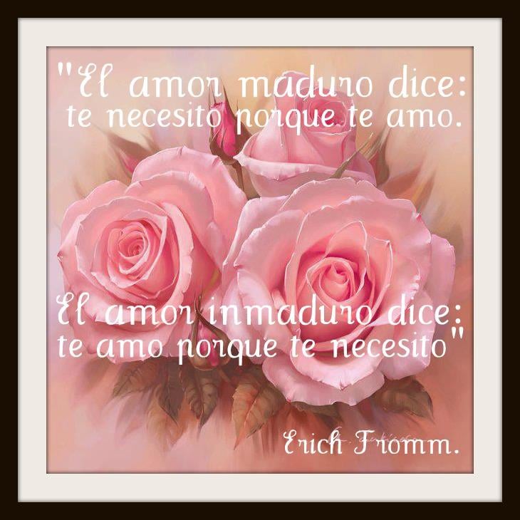 Imágenes con frases de amor bellas