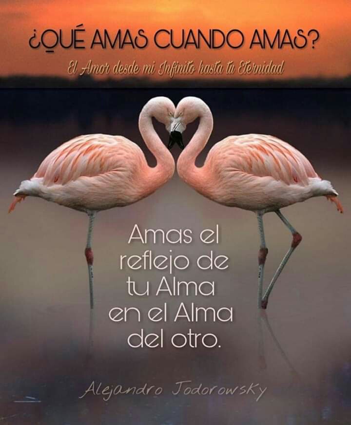 ¿QUÉ AMAS CUANDO AMAS? Amas el reflejo de tu alma en el alma de otro.