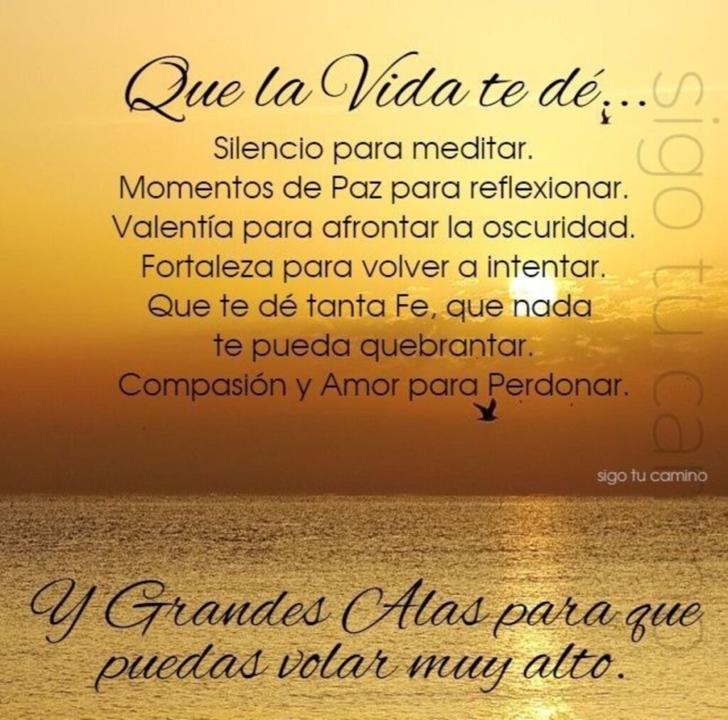 Que la vida te dé... Silencio para meditar, momentos de paz para reflexionar, valentía para afrontar la oscuridad... Y grandes alas para que puedas volar muy alto.