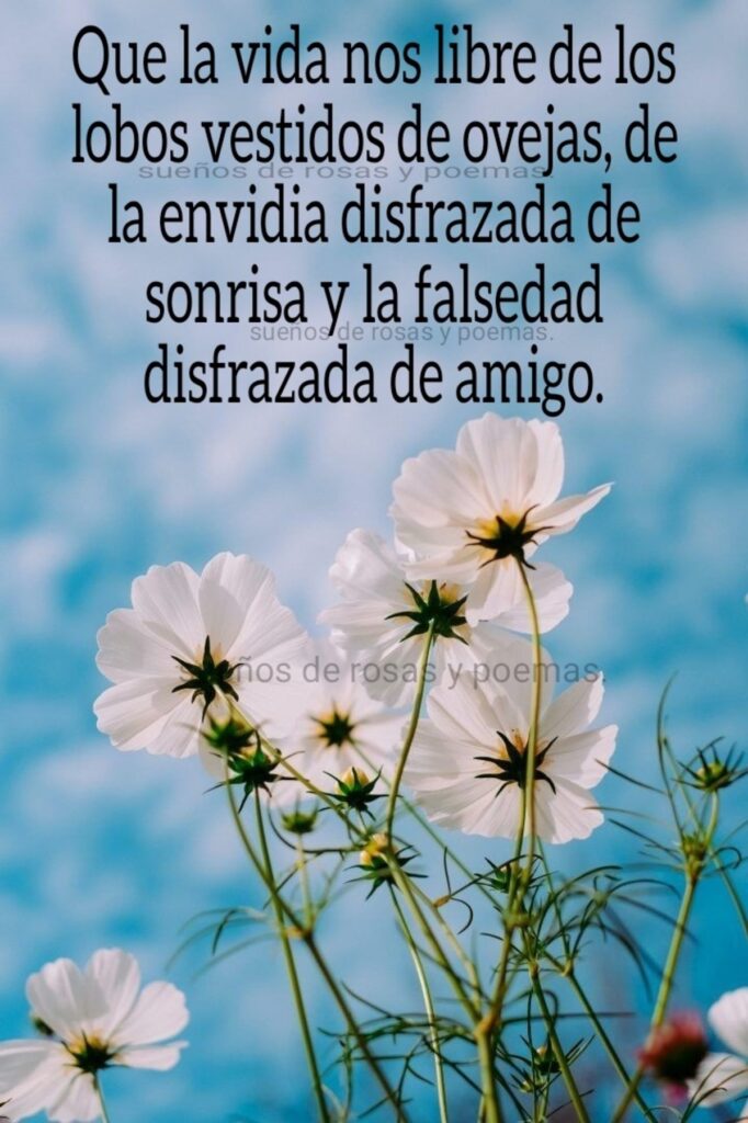 Que la vida nos libre de los lobos vestidos de ovejas, de la envidia disfrazada de sonrisa y la falsedad disfrazada de amigo.