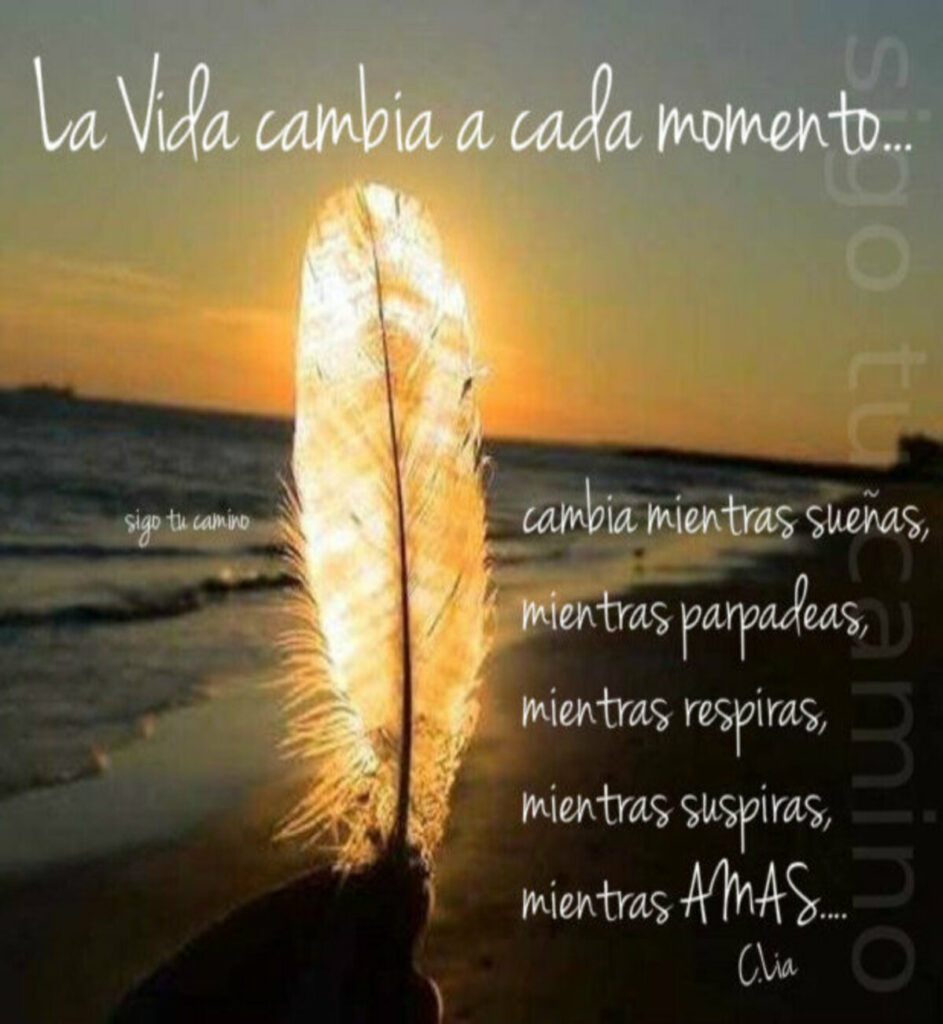 La vida cambia a cada momento... Cambia mientras sueñas, mientras parpadeas, mientras resiras, mientras suspiras, mientras AMAS...