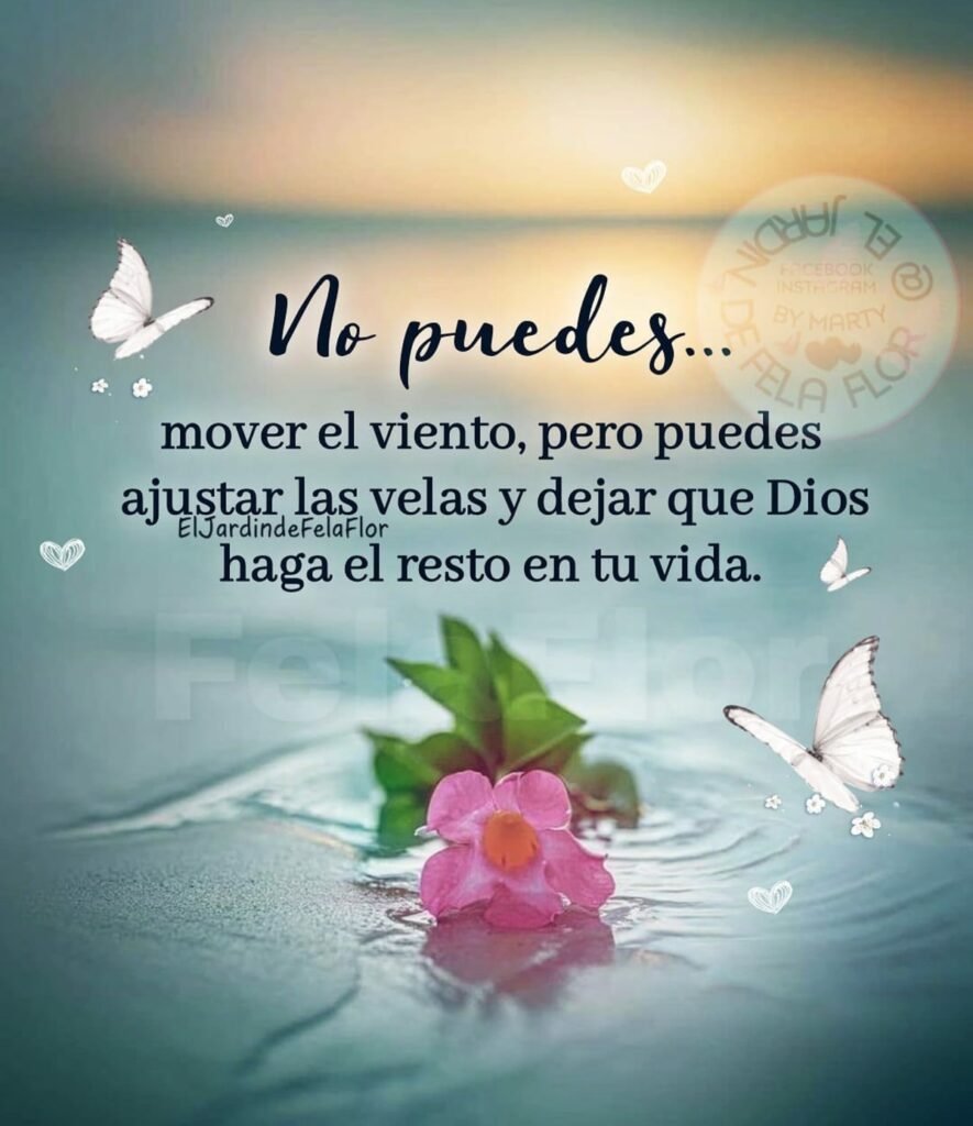 No puedes... mover el viento, pero puedes ajustar las velas y dejar que Dios haga el resto en tu vida.