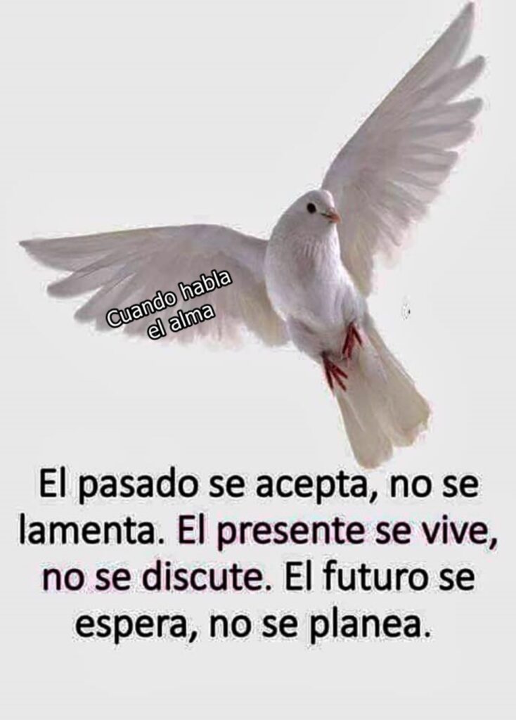 El pasado se acepta, no se lamenta. El presente se vive, no se discute. El futuro se espera, no se planea.