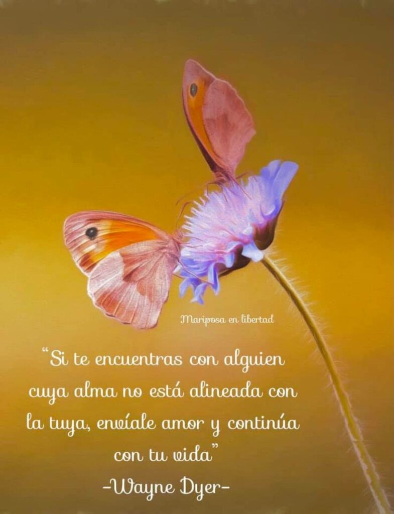 "Si te encuentras con alguien cuya alma no está alineada con la tuya, envíale amor y continúa con tu vida." - Wayne Dyer