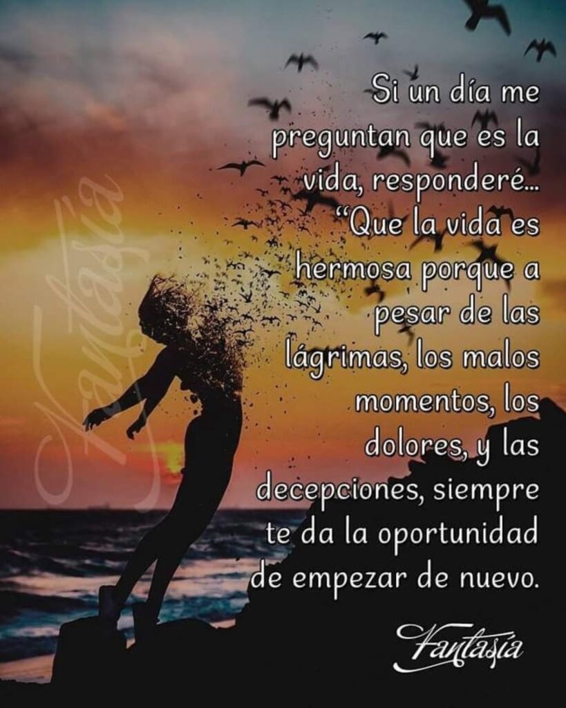 Si un día me preguntan que es la vida, responderé... Que la vida es hermosa porque a pesar de las lágrimas, los malos momentos, los dolores, y las decepciones, siempre te da la oportunidad de empezar de nuevo.