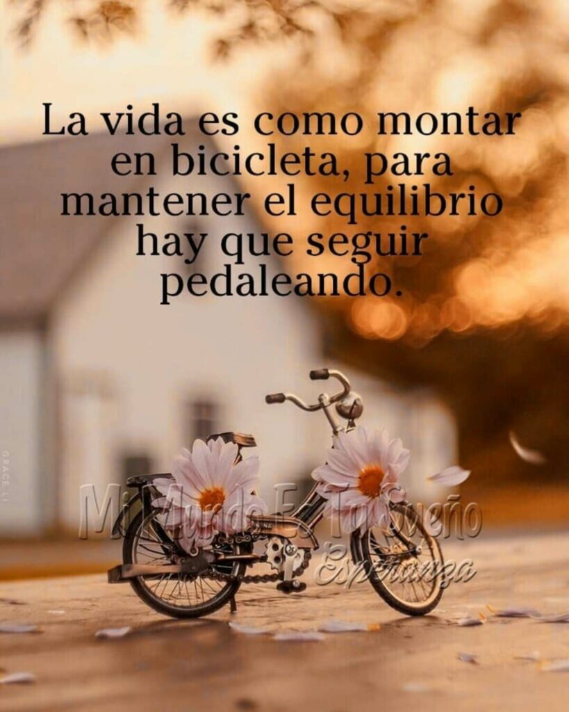 La vida es como montar en bicicleta, para mantener el equilibrio hay que seguir pedalando.