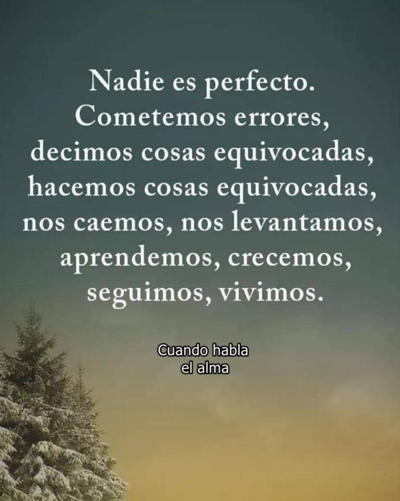 Nadie es perfecto. Cometemos errores, decimos cosas equivocadas, hacemos cosas equivocadas, nos caemos, nos levantamos, aprendemos, crecemos, seguimos, vivimos.