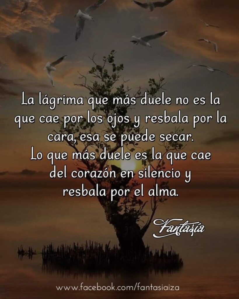 La lágrima que más duele no es la que cae por los ojos y resbala por la cara, esa se puede secar. Lo que más duele es la que cae del corazón en silencio y rescala por el alma. (Fantasía)