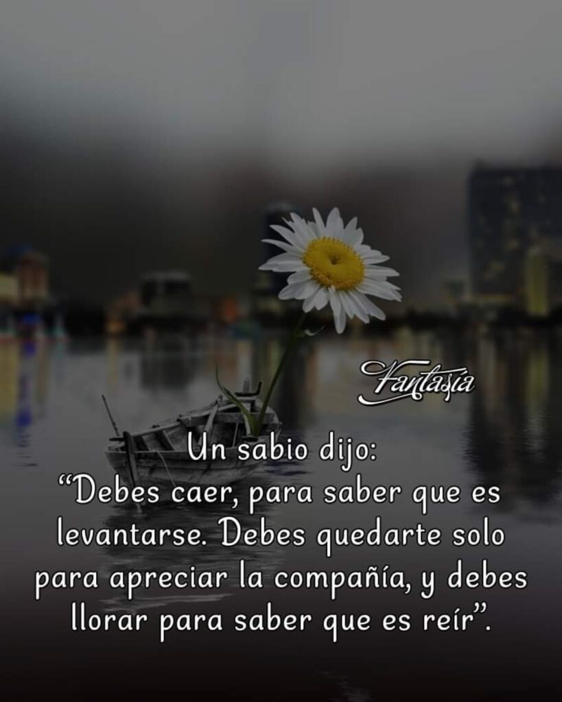 Un sabio dijo: "Debes caer, para saber que es levantarse. Debes quedarte solo para apreciar la compañia, y debes llorar para saber que es reír."