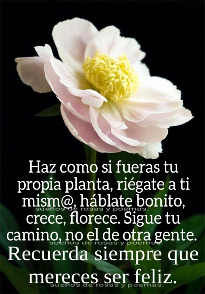 Haz como si fueras tu propia planta, riégate a ti mism@, háblate bonito, crece, florece. Sigue tu camino, no el de otra gente. Recuerda siempre que mereces ser feliz.