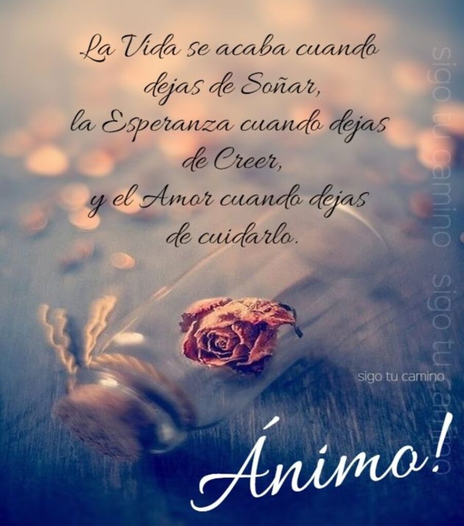 La vida se acaba cuando dejas de soñar, la esperanza cuando dejas de creer, y el amor cuando dejas de cuidarlo. Ánimo! (Sigo tu camino)