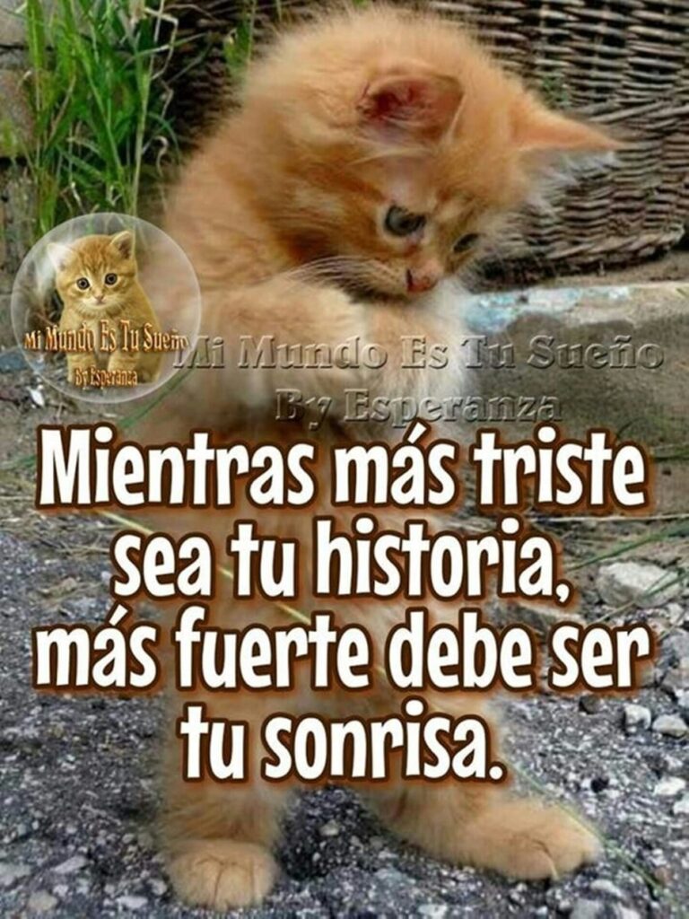 Mientras más triste sea tu historia, más fuerte debe ser tu sonrisa.