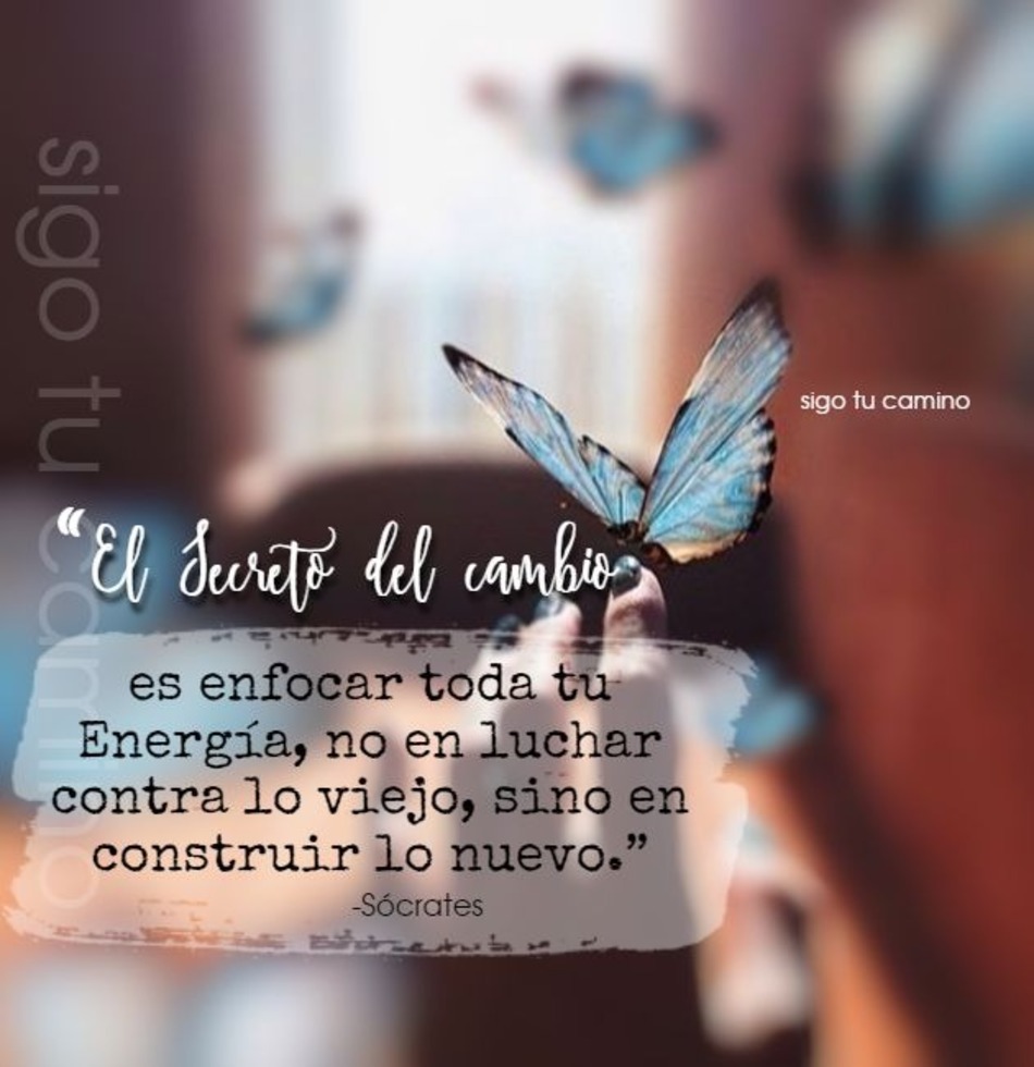 Frases y citas motivadoras para compartir y publicar en Pinterest