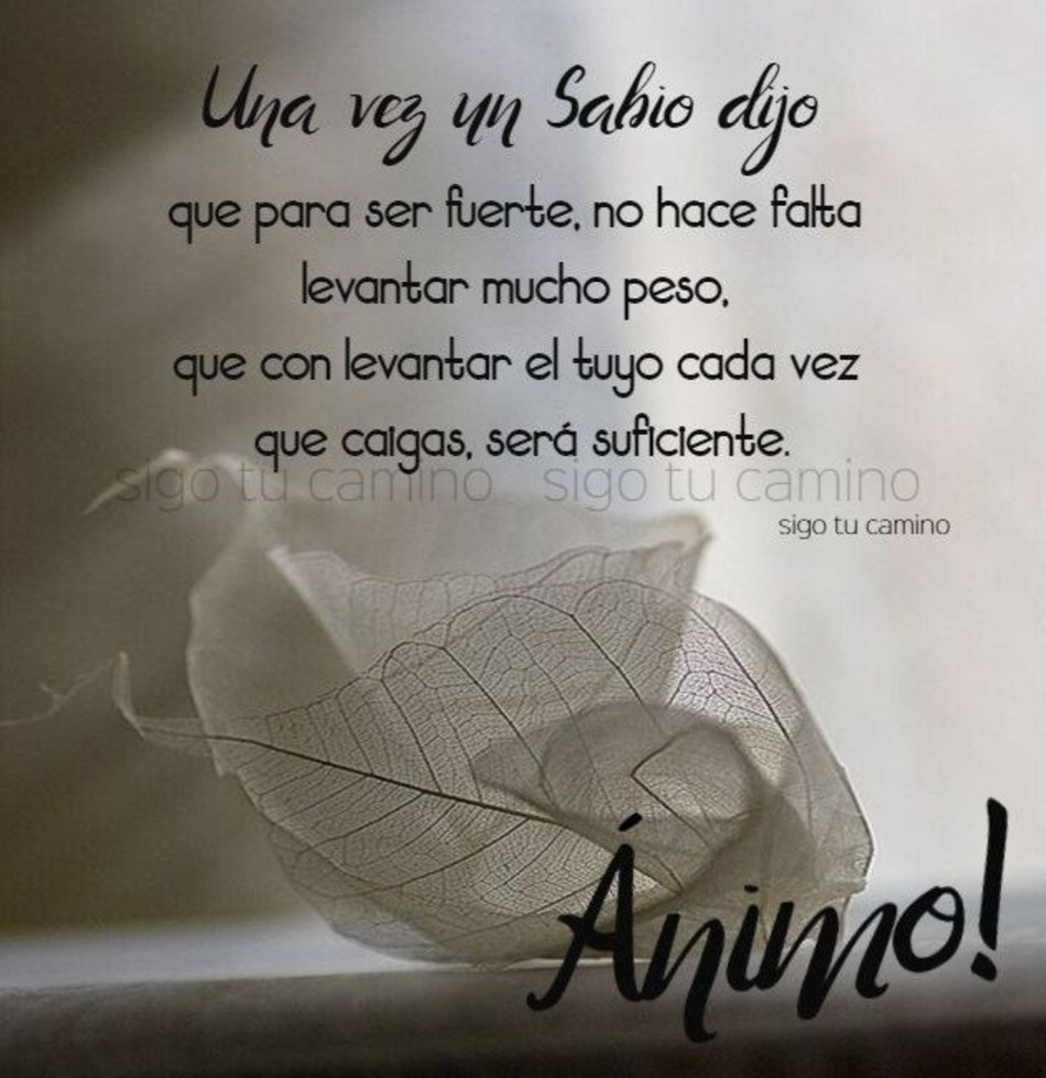 Una vez un sabio dino: que para ser fuerte, no hace falta levantar mucho peso, que con levantar el tujo cada vez que calgas será suficiente. Ánimo!