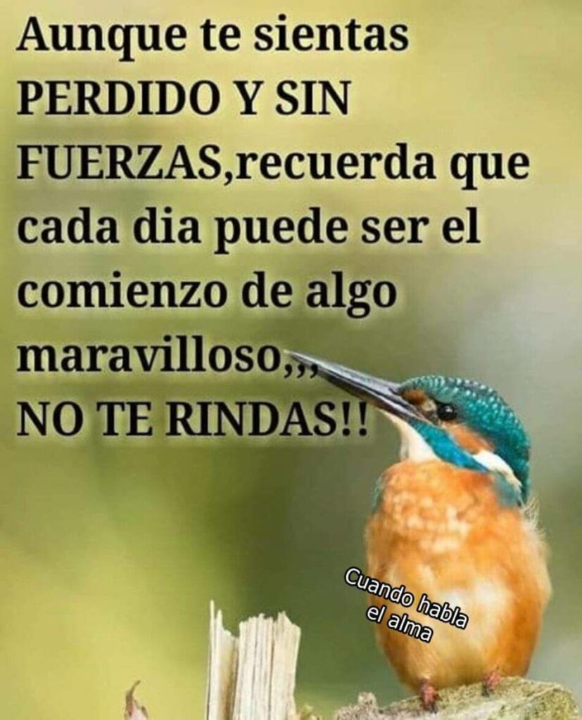 Aunque te sientas perdido y sin fuerzas, recuerda que cada día puede ser el comienzo de algo maravilloso... NO TE RINDAS !!!