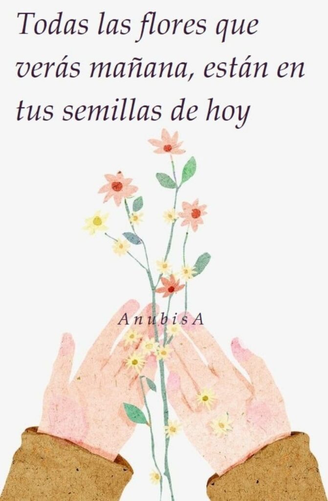 Todas las flores que verás mañana, están en tus semillas hoy