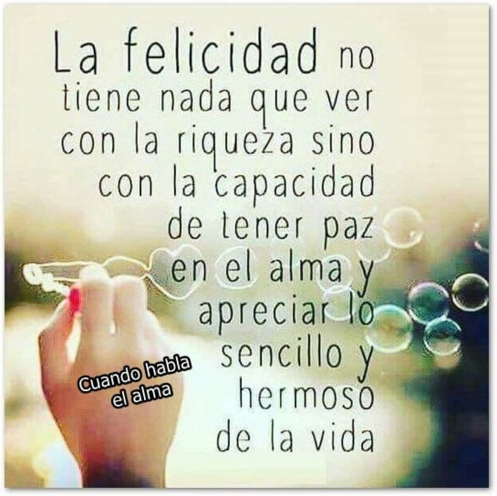 La felicidad no tiene nada que ver con la riqueza sino con la capacidad de tener paz en el alma y apreciar lo sencillo y hermoso de la vida. (Cuando habla el alma)