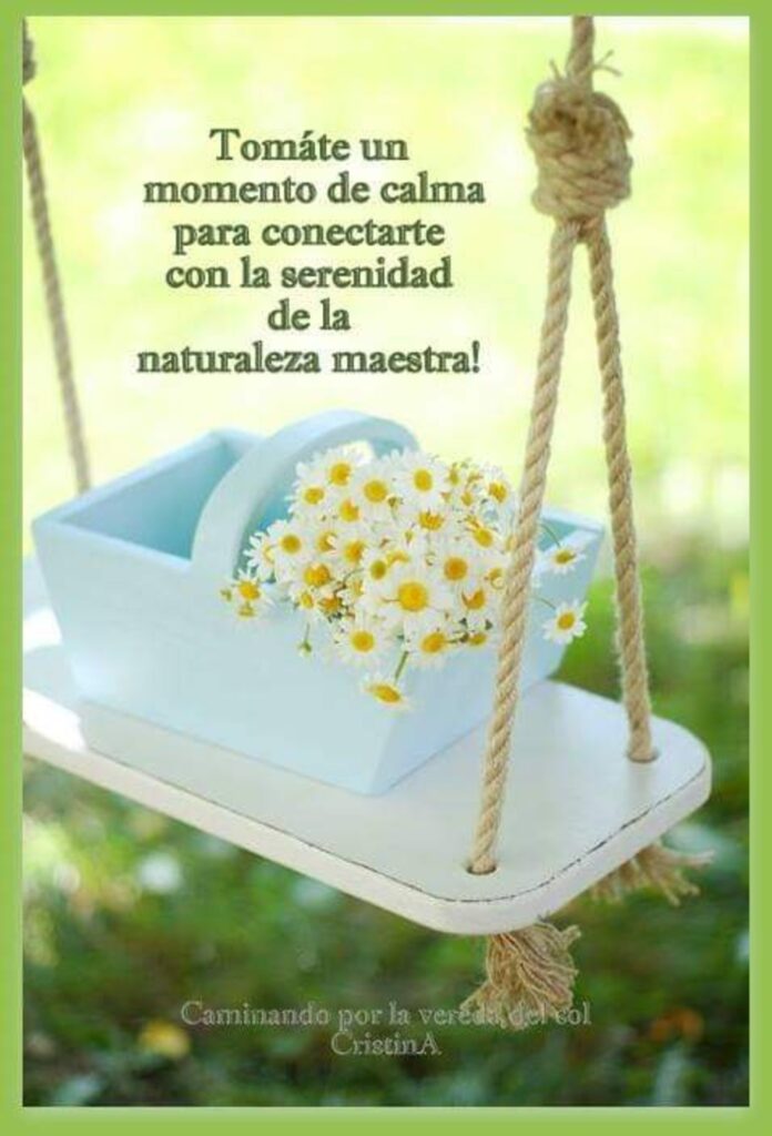 Tomáte un momento de calma para conectarte con la serenidad de la naturaleza maestra!