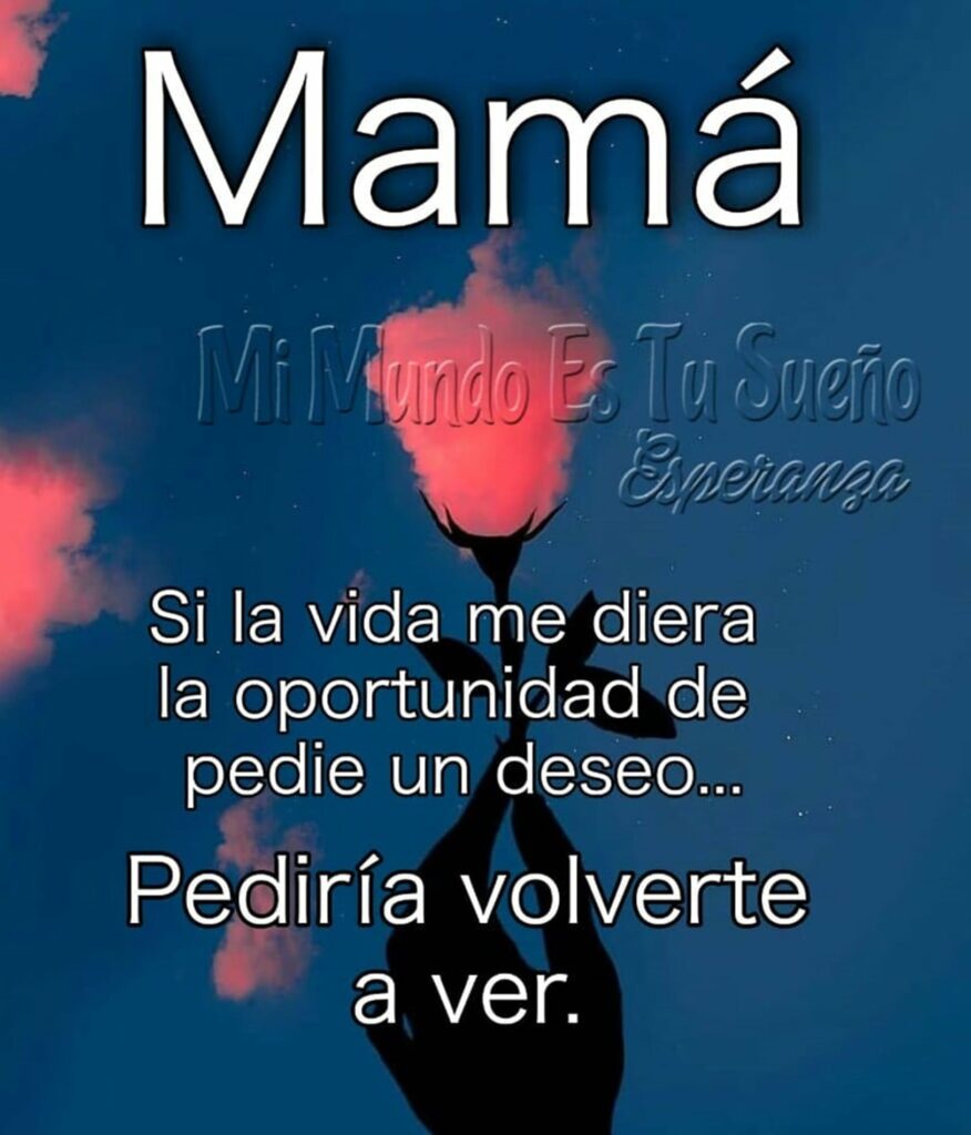 Mamá: Si la vida me diera la oportunidad de padie un deseo... Pediría volverte a ver.