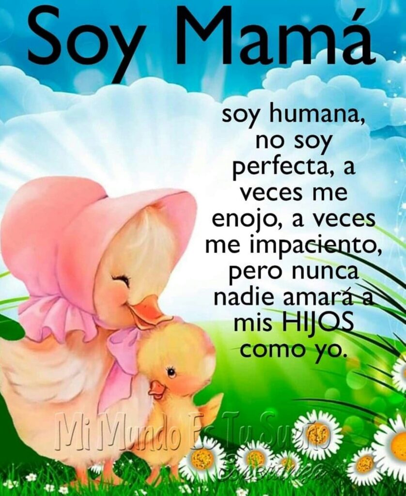 Soy Mamá. Soy humana, no soy perfecta, a veces me enojo, a veces me impaciento, pero nunca nadie amará a mis HIJOS como yo.