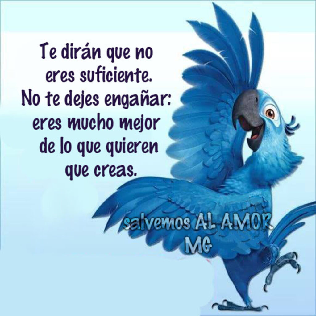 Te dirán que no eres suficiente. No te dejes engañar: eres mucho mejor de lo que quieren que creas.