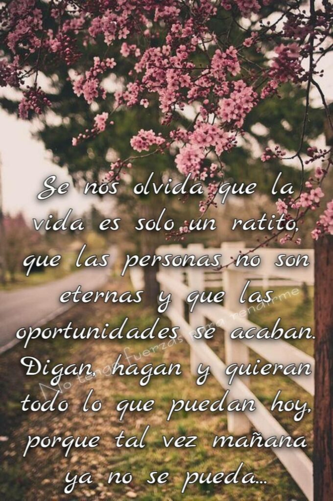 Se nos olvida que la vida es solo un ratito, que las personas no son eternas y que las oportunidades se acaban. Digan, hagan y quieran todo lo que puedan hoy, porque tal vez mañana ya no se pueda...