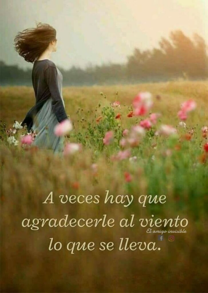 A veces hay que agradecerle al viento lo que se lleva.