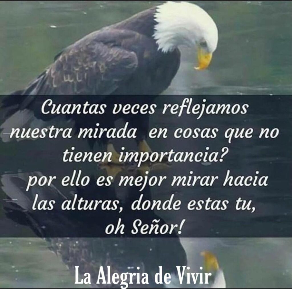 Cuantas veces reflejamos nuestra mirada en cosas que no tienen importancia? por ello es mejor mirar hacia las alturas, donde estas tu, oh Señor! - La alegria de vivir