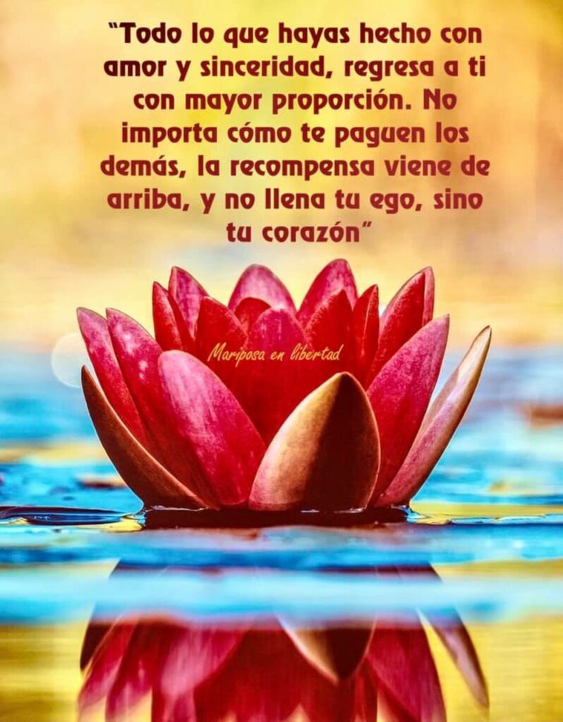 "Todo lo que hayas hecho con amor y sinceridad, regresa a ti con mayor proporción. No importa cómo te paguen los demás, la recompensa viene de arriba, y no llena tu ego, sino tu corazón."