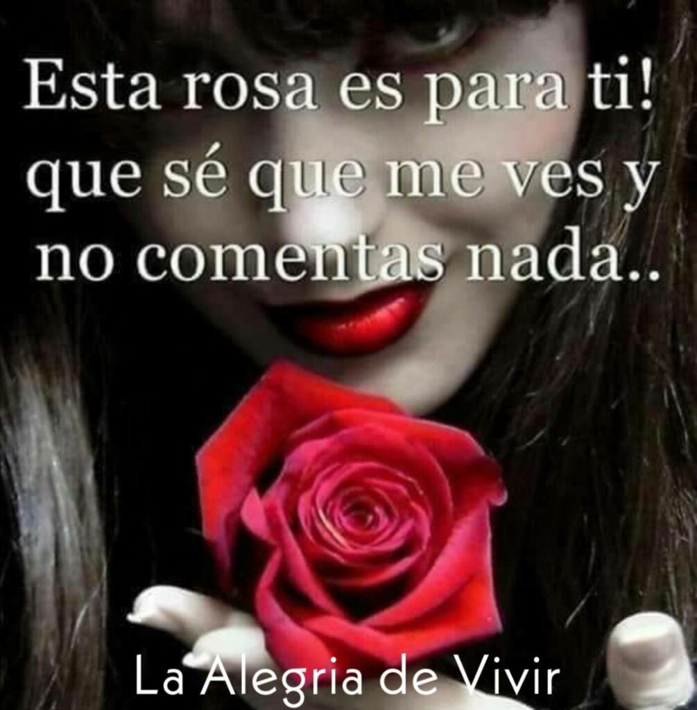 Esta rosa es para ti! Que sé que me ves y no comentas nada...