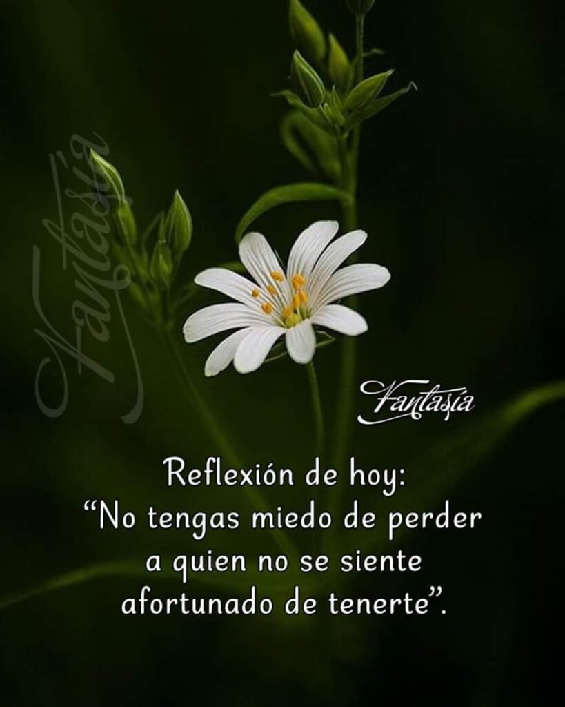 Reflexión de hoy: No tengas miedo de perder a quien no se siente afortunado de tenerte.