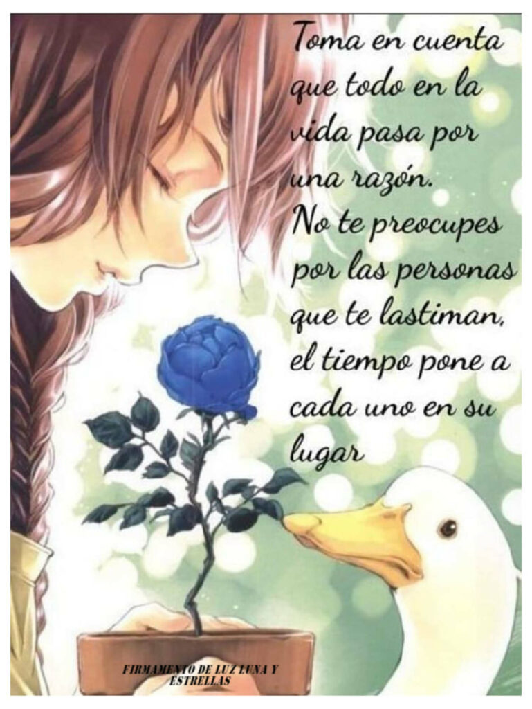 Toma en cuento que todo en la vida pasa por una razón. No te preocupes por las personas que te lastiman, el tiempo pone a cada uno en su lugar.