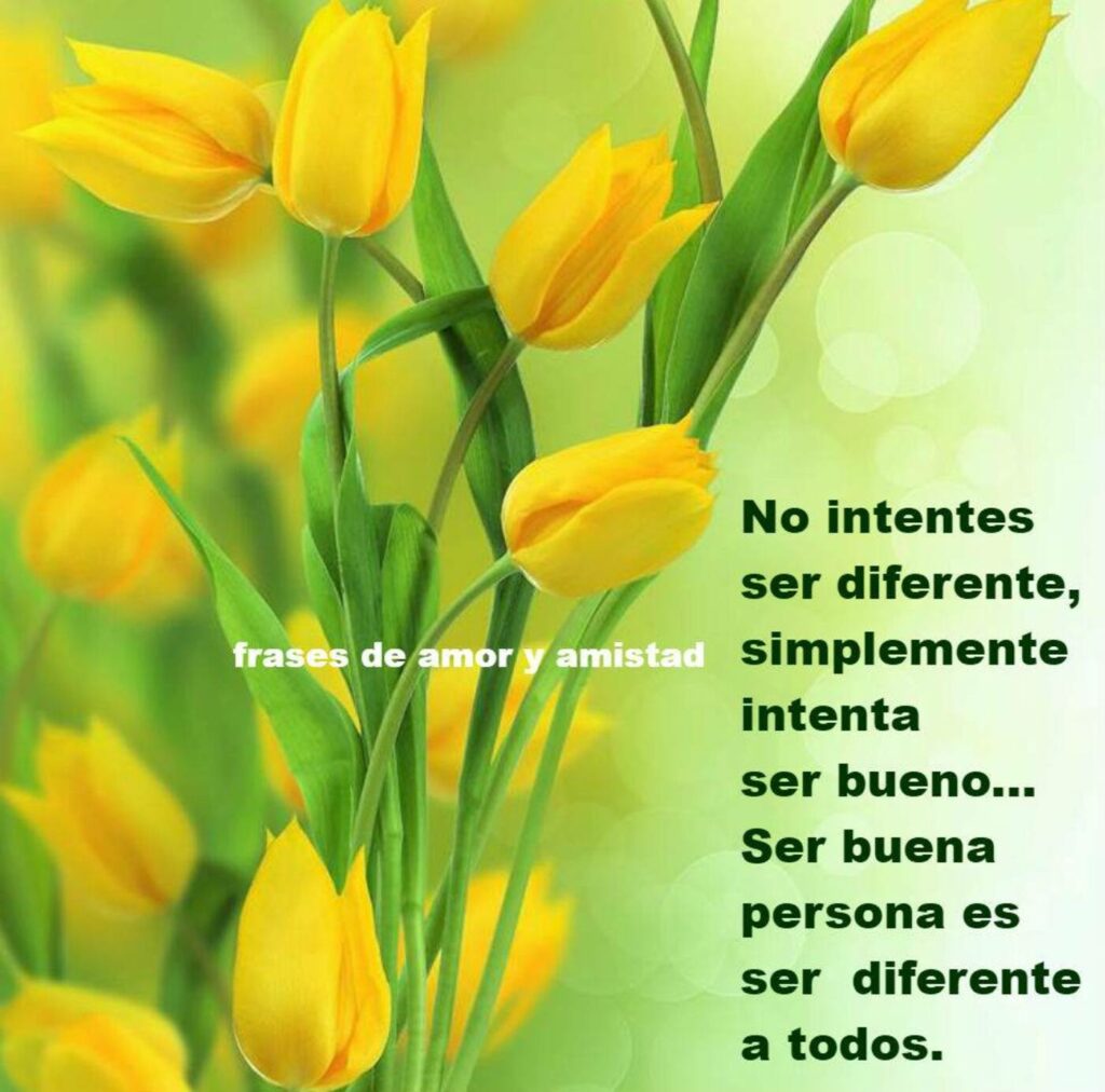 No intentes ser diferente, simplemente intenta ser bueno... Ser buena persona es ser diferente a todos.