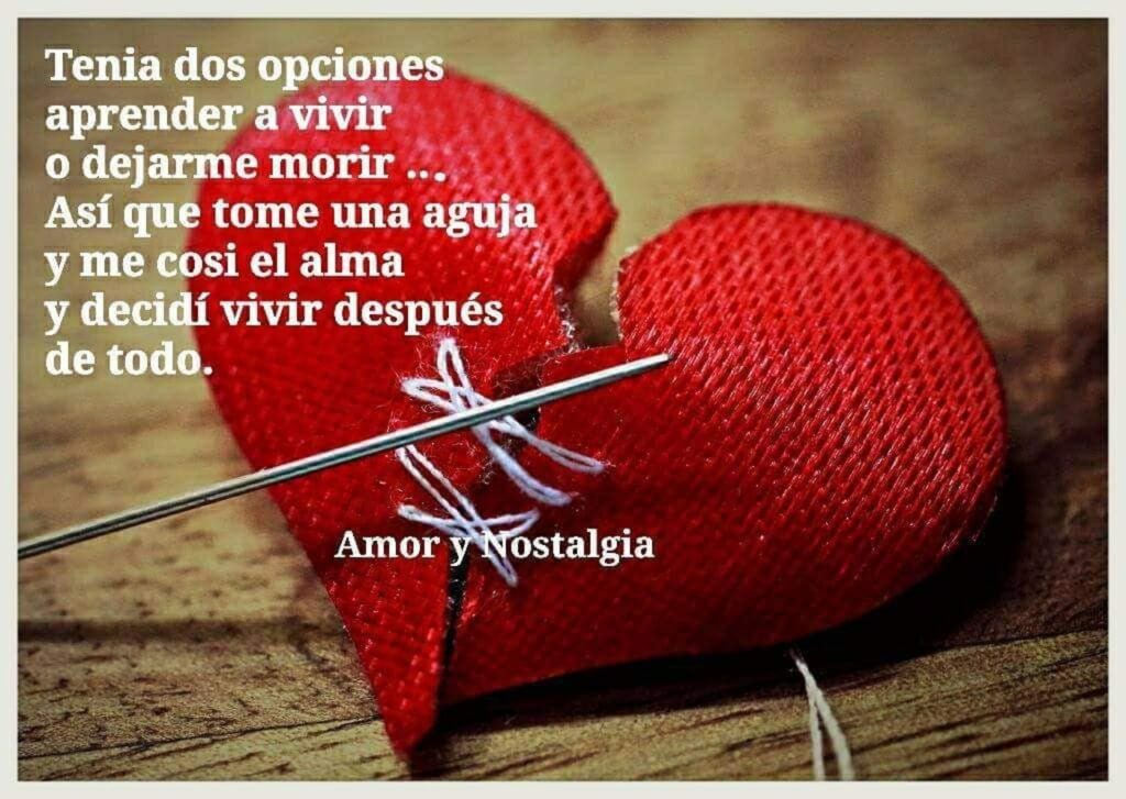 Tenia dos opciones aprender a vivir... o dejarme morir... Así que tome una aguja y me cosi el alma y decidí vivir después de todo.