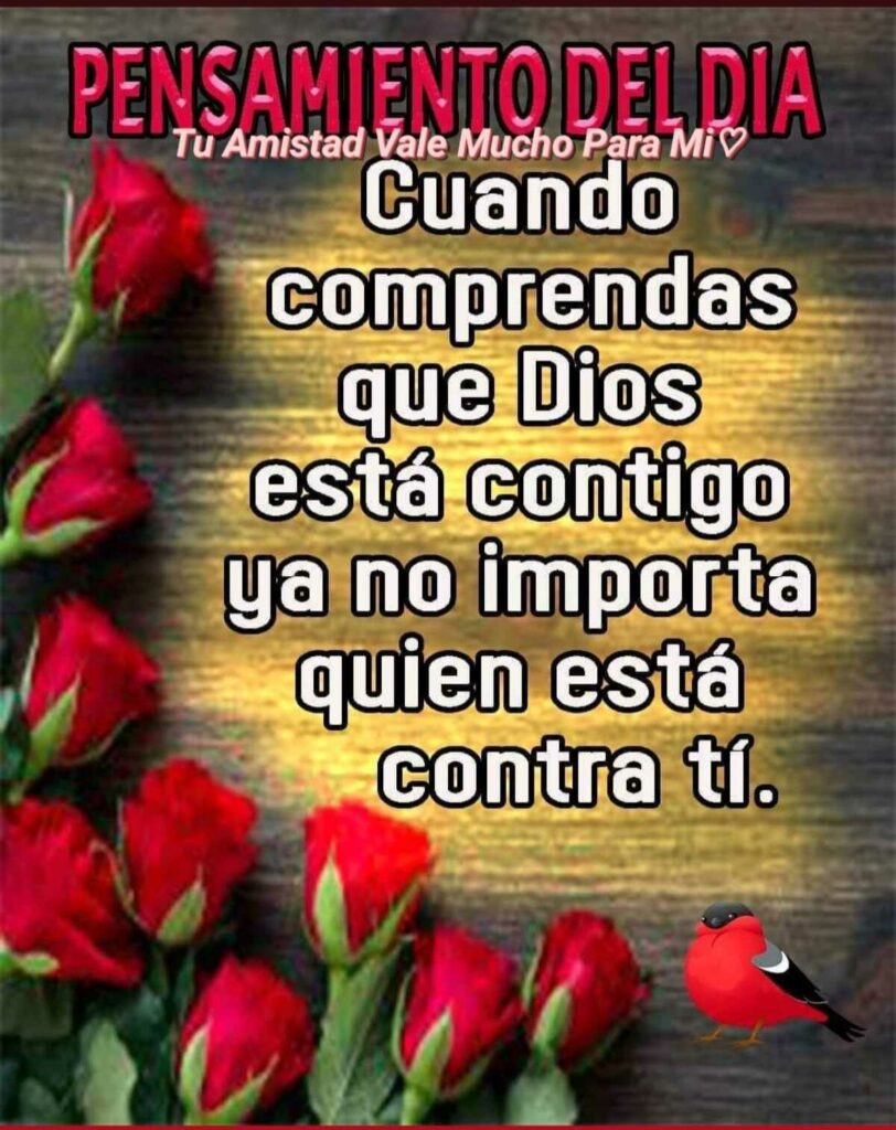 PENSAMIENTO DE DÍA: Cuando comprendas que Dios está contigo ya no umporta quien está contra tí.