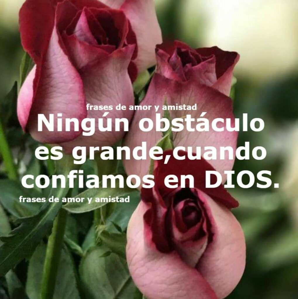 Ningún obstáculo es grande, cuando confiamos es DIOS. (Frases de amor y amistad)