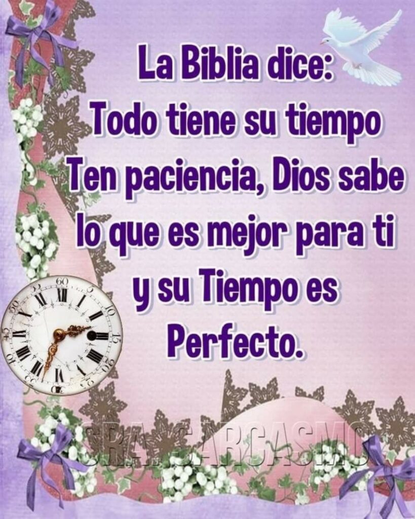 La Biblia dice: Todo tiene su tiempo, ten paciencia, Dios sabe lo que es mejor para ti y su tiempo es perfecto.