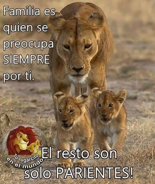 Familia es quien se preocupa SIEMPRE por ti. El resto son PARIENTES!