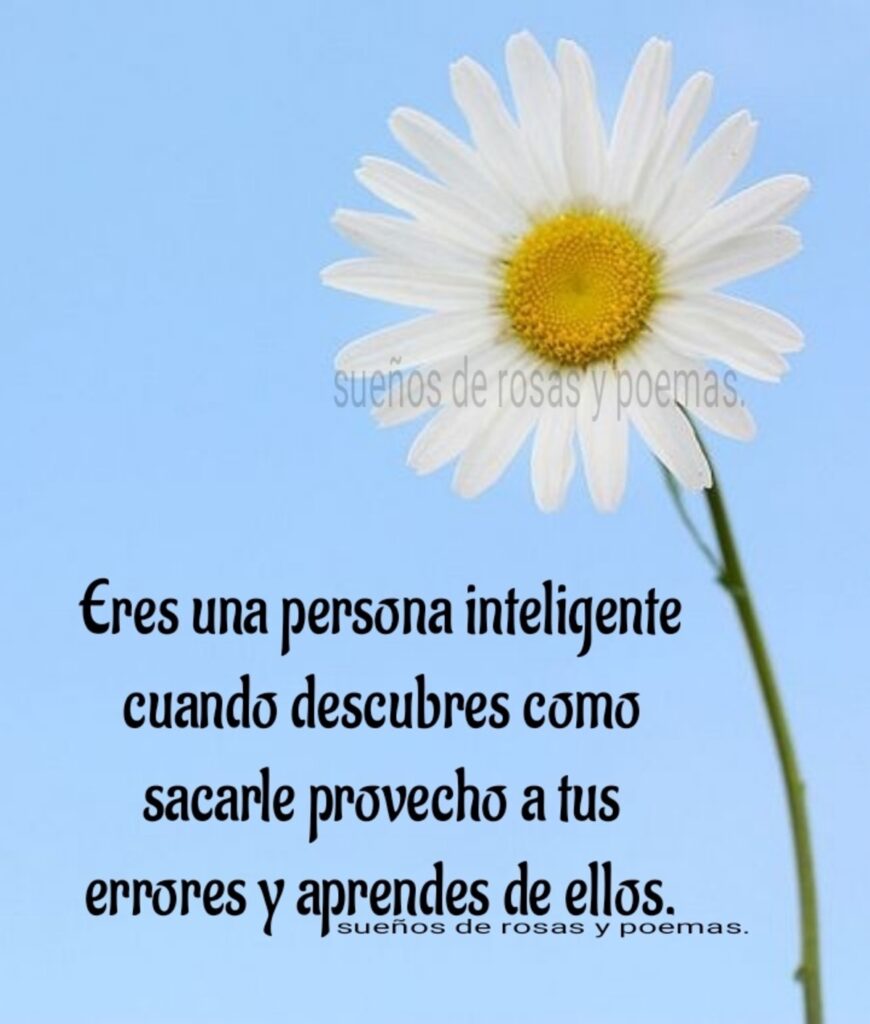 Eres una persona inteligente cuando descubres como sacarle provecho a tus errores y aprendes de ellos.