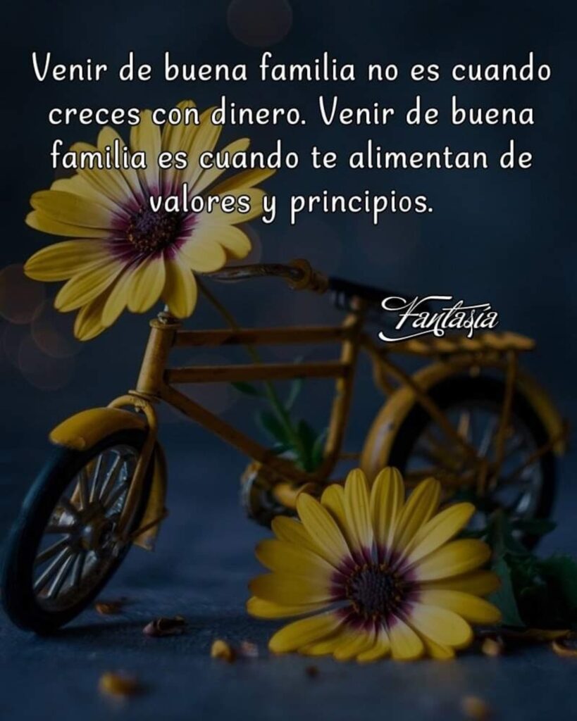 Venir da buena familia no es cuando creces con dinero. Venir de buena familia es cuando te alimentan de valores y principios.