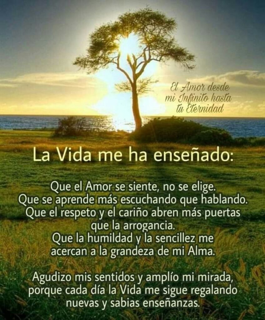 La vida me ha enseñado: Que el Amor se siente, no se elige. Que se aprende más escuchando que hablando. Que el respecto y el cariño abren más puertas que la arrogancia...