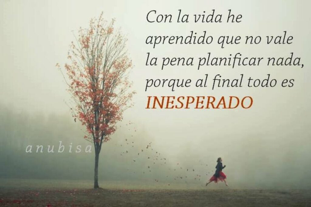 Con la vida he aprendido que no vale la pena planificar nada, porque al final todo es INESPERADO (anubisa)