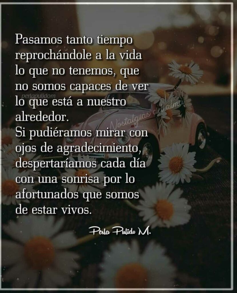 Frases y citas bellas de la vida