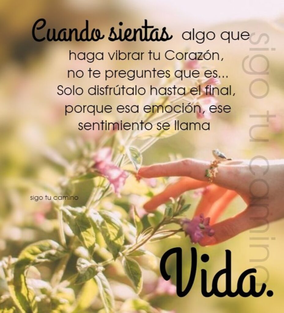 Cuando sientes algo que haga vibrar tu corazón, no te preguntes que es... Solo disfrútalo hasta el final, porque esa emoción, ese sentimiento se llana vida.