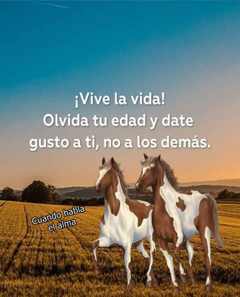 ¡Vive la vida! Olvida tu edad y date gusto a ti, no a los demás.