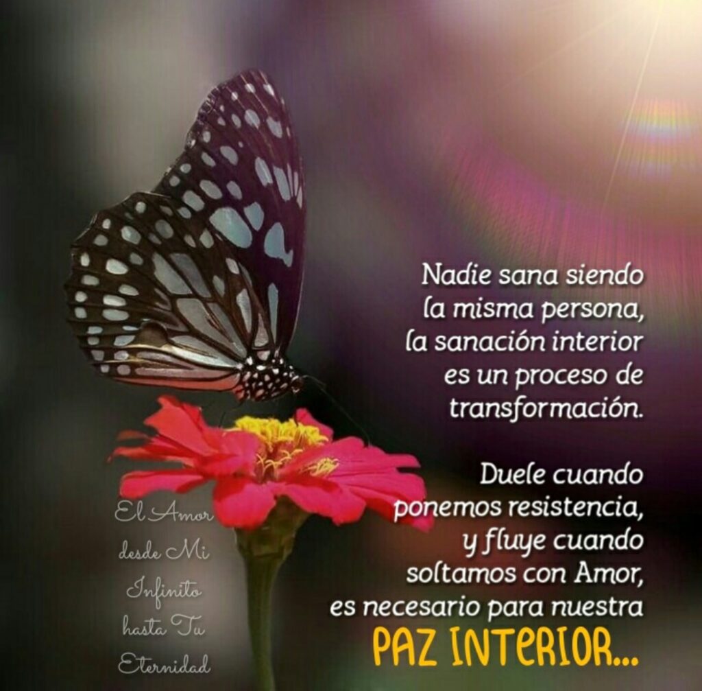 Nadie sana siendo la misma persona, la sanación interior es un proceso de transformación, Duele cuando ponemos resistencia, y fluye cuando soltamos con amor, es necesario para nuestra PAZ INTERIOR...